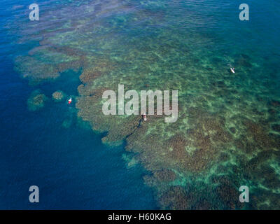 Stand Up Paddle boarders esplorando il reef di Haleiwa Harbour sulla North Shore di Oahu Hawaii USA Foto Stock