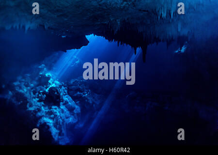 Tuffati in una grotta di cenote a Tulum, Messico, circondata da acque turchesi, formazioni calcaree e raggi di luce, catturando la bellezza dell'Explore subacqueo Foto Stock