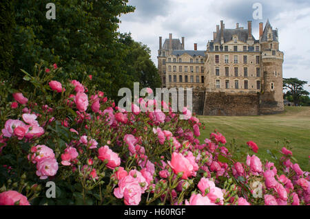 Giardini di Chateau Brissac-Quince, castello di Brissac, vicino ad Angers, ha detto di essere il più alto chateau in Francia, Maine-et-Loire, Pays d Foto Stock