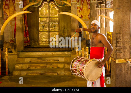 * Tamburi tradizionali a puja, tempio del Dente, Kandy, Sri Lanka Foto Stock