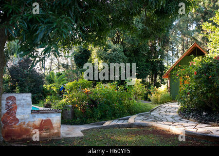 Atiu Island. Isole Cook. Polinesia. Oceano Pacifico del sud. Atiu Villas è situato sulla Atiu Island sulla periferia della centrale Foto Stock