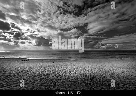 Il Waimea beach sull'isola di Oahu, Hawaii Foto Stock