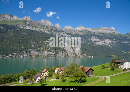 Paesaggio estivo nella regione Walensee (Churfirsten gamma di montagna nelle Alpi svizzere) Foto Stock