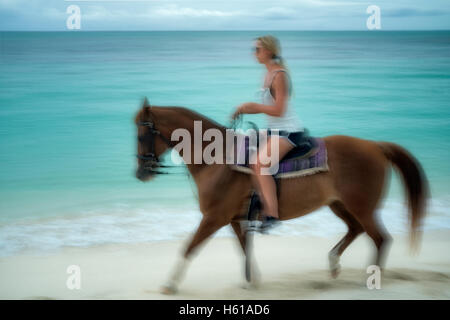Donna cavallo al galoppo sulla riva. Isole Turks e Caicos. Providenciales Foto Stock