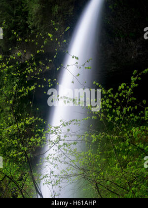 Centro Nord cade in primavera, Silver Falls State Park, Oregon Foto Stock