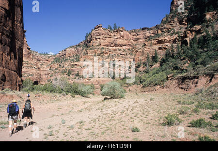 Gli escursionisti sul sentiero nel Canyon De Chelly National Monument, Arizona Foto Stock