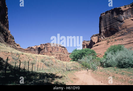 Gli escursionisti sul sentiero nel Canyon De Chelly National Monument, Arizona Foto Stock