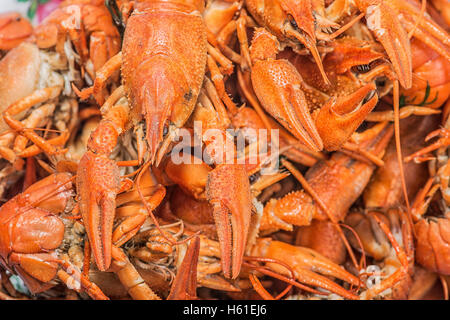 Un sacco di caldo fresco bollito di aragosta rossa Foto Stock