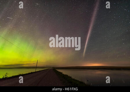 Un isolato ad arco auroral ad est il 2 settembre 2016, riprese da vicino a casa durante un raffinato display attivo con le tende per la Foto Stock