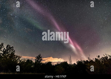 Un isolato ad arco auroral ad ovest il 2 settembre 2016, girato da casa durante un bel display con active tende a nord Foto Stock