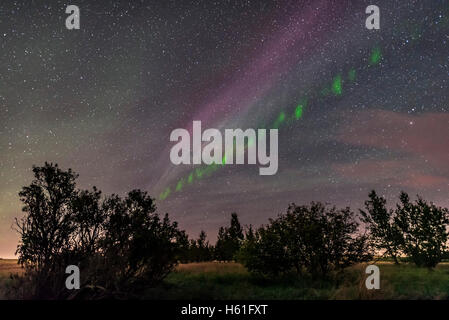 Un isolato auroral arco a sud-est il 2 settembre 2016, girato da casa durante un raffinato display attivo con le tende per la Foto Stock