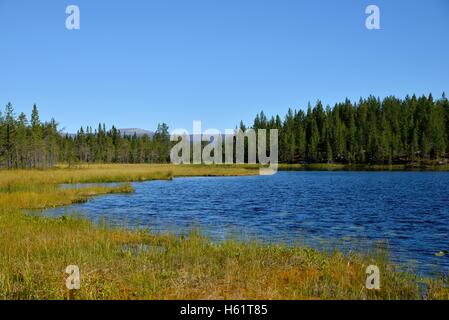 Lago vicino Börtnan, Ljungdalen, Jämtland, Svezia Foto Stock