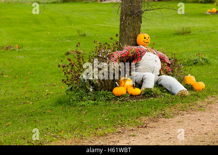 Testa di zucca spaventapasseri seduto contro un albero. Foto Stock