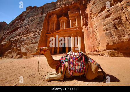 Vista del tesoro, Al-Khazneh con cammelli, Petra, Giordania Foto Stock