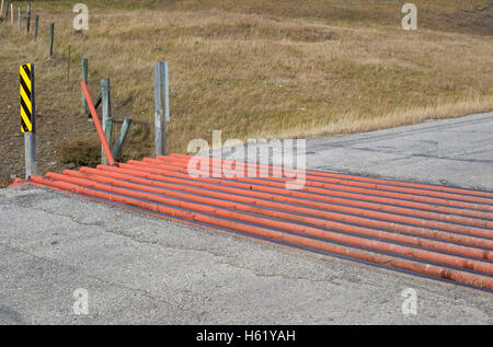 Texas gate, guardia del bestiame per controllare il movimento di animali tra pascoli su strada rurale Foto Stock