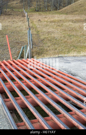 Texas gate, guardia del bestiame per controllare il movimento di animali tra pascoli su strada rurale Foto Stock