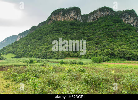 Vinales Valley eco area protetta nella parte occidentale di Cuba Foto Stock