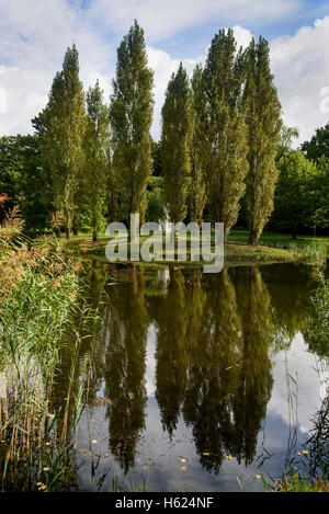 Rousseau-Island e Neumark del giardino in Wörlitzlake Wörlitz, giardini, Sassonia-Anhalt, Germania, Europa, dall'UNESCO Patrimonio Mondiale Foto Stock