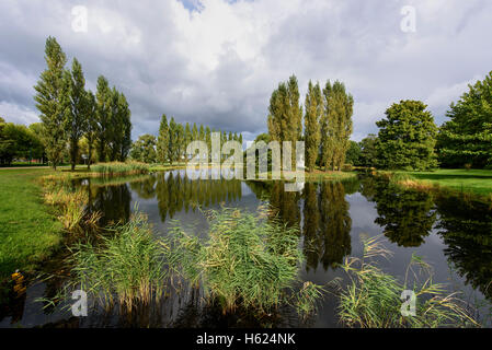 Rousseau-Island e Neumark del giardino in Wörlitzlake Wörlitz, giardini, Sassonia-Anhalt, Germania, Europa, dall'UNESCO Patrimonio Mondiale Foto Stock