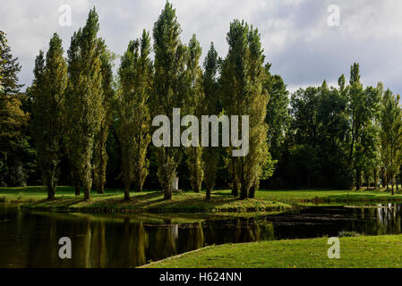 Rousseau-Island e Neumark del giardino in Wörlitzlake Wörlitz, giardini, Sassonia-Anhalt, Germania, Europa, dall'UNESCO Patrimonio Mondiale Foto Stock