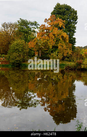 Palazzo stagno in Fürst Pückler Park, Bad Muskau, in Sassonia, Germania, Europa, dall'UNESCO Patrimonio Mondiale Foto Stock