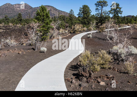 Nuovo accesso facilitato per portatori di Nandicap marciapiede sentiero attraverso la foresta di lava al tramonto cratere di Vulcano Monumento Nazionale vicino a Flagstaff, in Arizona. Foto Stock