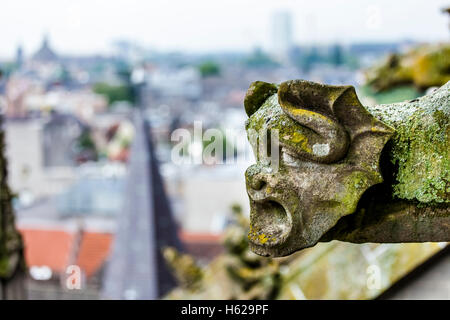 Gargoyle su San Jan il cattedrale che domina la città di Den Bosch, Paesi Bassi. Foto Stock