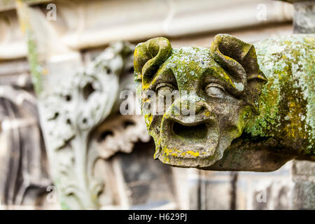 Gargoyle su San Jan il duomo, Den Bosch, Paesi Bassi. Foto Stock