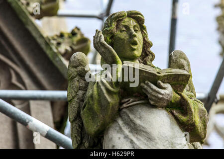 Statua di un canto angelo su San Jan il duomo, Den Bosch, Paesi Bassi. Tubi di impalcatura in background. Foto Stock