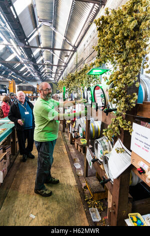 Inghilterra, Tunbridge Wells. CAMRA la birra e il festival ale. Uomo maturo permanente e la colata di una pinta di birra dalla canna, tra i filari di vari barili di birra. Foto Stock