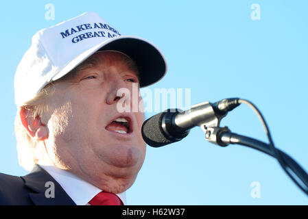 Naples, Florida, Stati Uniti d'America. 23 Ott, 2016. - Repubblicano candidato presidenziale Donald Trump parla di una campagna al rally Collier County Fairgrounds in Naples, Florida il 23 ottobre 2016. Con soli 16 giorni fino al novembre elezione, Trump inizia una due giorni di cinque città-campagna oscillare attraverso Florida con ulteriori fermate in Sant'Agostino, Tampa, Sanford e Tallahassee. Credito: Paul Hennessy/Alamy Live News Foto Stock