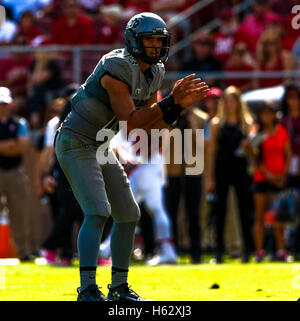 Palo Alto, California, USA. 22 ottobre, 2016. Colorado Quarterback Sefo Liufau (13) in NCAA Football azione presso la Stanford University, dotate di Colorado Buffaloes visitando la Stanford cardinale. Colorado ha vinto il gioco, 10-5. © Seth Riskin/ZUMA filo/Alamy Live News Foto Stock