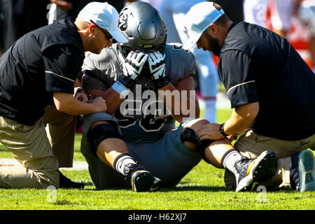 Palo Alto, California, USA. 22 ottobre, 2016. Feriti Guardia Colorado Tim Lynott Jr. (56) riceve il trattamento da Colorado la formazione del personale nella NCAA Football azione presso la Stanford University, dotate di Colorado Buffaloes visitando la Stanford cardinale. Colorado ha vinto il gioco, 10-5. © Seth Riskin/ZUMA filo/Alamy Live News Foto Stock