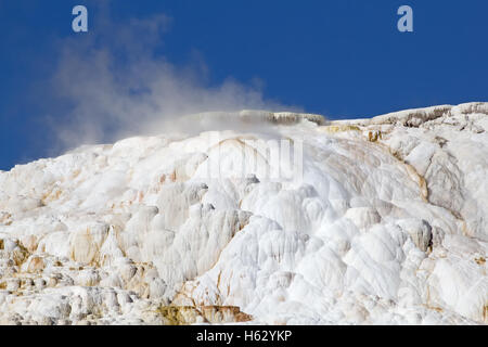 Mammoth Hot Springs nel Parco Nazionale di Yellowstone, Wyoming USA Foto Stock