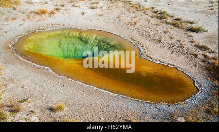 Coloratissima "belghe" acqua calda piscina nel parco nazionale di Yellowstone, STATI UNITI D'AMERICA Foto Stock