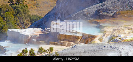 Mammoth Hot Springs nel Parco Nazionale di Yellowstone, Wyoming USA Foto Stock