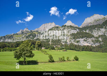 Paesaggio estivo nella regione Walensee (Churfirsten gamma di montagna nelle Alpi svizzere) Foto Stock