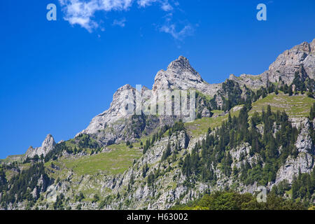 Paesaggio estivo nella regione Walensee (Churfirsten gamma di montagna nelle Alpi svizzere) Foto Stock