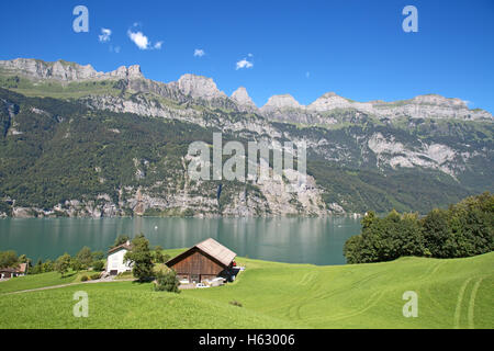 Paesaggio estivo nella regione Walensee (Churfirsten gamma di montagna nelle Alpi svizzere) Foto Stock