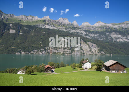 Paesaggio estivo nella regione Walensee (Churfirsten gamma di montagna nelle Alpi svizzere) Foto Stock