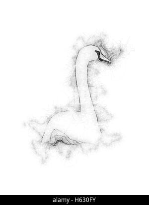 Migliorate digitalmente immagine di un cigno bianco nuotare nel fiume Danubio, Austria Foto Stock