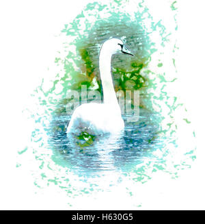 Migliorate digitalmente immagine di un cigno bianco nuotare nel fiume Danubio, Austria Foto Stock