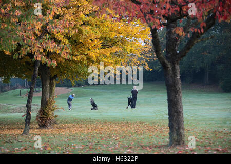 Scene autunnali di golfisti giocando sul Brent Valley golf course a ovest di Londra. Foto Data: domenica 23 ottobre, 2016. Foto credi Foto Stock