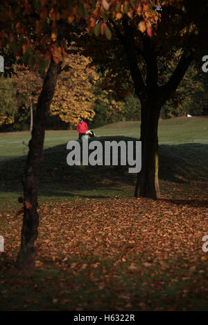 Scene autunnali di golfisti giocando sul Brent Valley golf course a ovest di Londra. Foto Data: domenica 23 ottobre, 2016. Foto credi Foto Stock