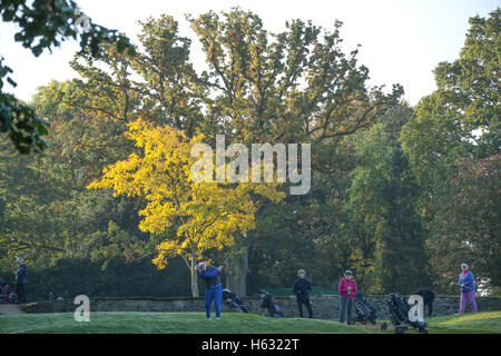 Scene autunnali di golfisti giocando sul Brent Valley golf course a ovest di Londra. Foto Data: domenica 23 ottobre, 2016. Foto credi Foto Stock