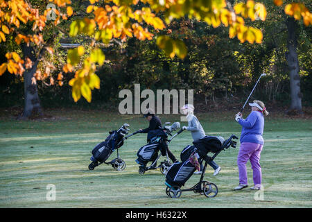 Scene autunnali di golfisti giocando sul Brent Valley golf course a ovest di Londra. Foto Data: domenica 23 ottobre, 2016. Foto credi Foto Stock