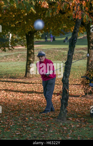 Scene autunnali di golfisti giocando sul Brent Valley golf course a ovest di Londra. Foto Data: domenica 23 ottobre, 2016. Foto credi Foto Stock