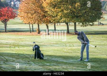 Scene autunnali di golfisti giocando sul Brent Valley golf course a ovest di Londra. Foto Data: domenica 23 ottobre, 2016. Foto credi Foto Stock