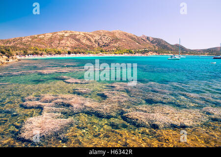 Tuerredda è considerata una delle più belle spiagge della Sardegna per la sua sabbia bianca e il colore chiaro del mare che r Foto Stock