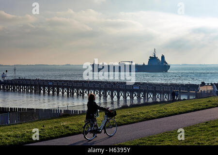 VLISSINGEN, Paesi Bassi, 22 ottobre 2016: una grande nave di merci contro la retroilluminazione sul Westerschelde davanti al boulevard di Foto Stock